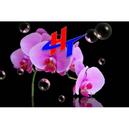 Tranh 2D - 3D PVC